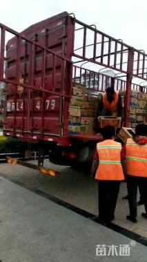 高度20厘米假龙头