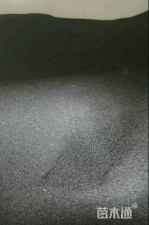 太阳花太阳花种子