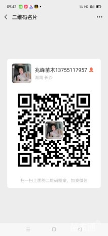 10公分南酸枣