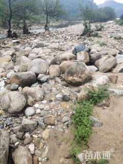 高度50厘米鹅卵石