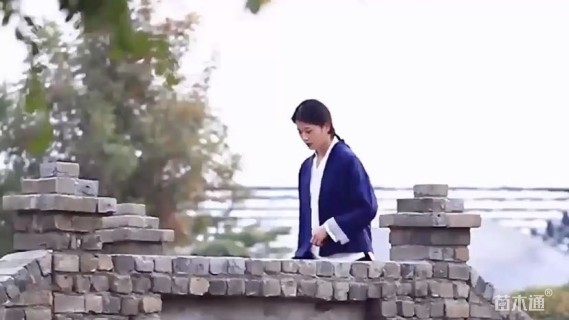 富裕种业高羊茅种子