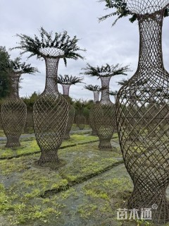 30公分紫薇花瓶