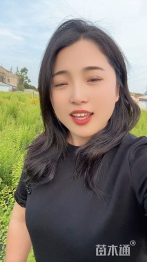 高度1厘米喷雪花