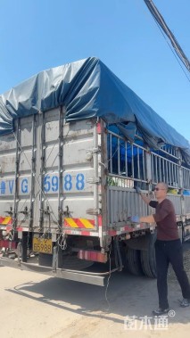 大杯苗樱桃鼠尾草