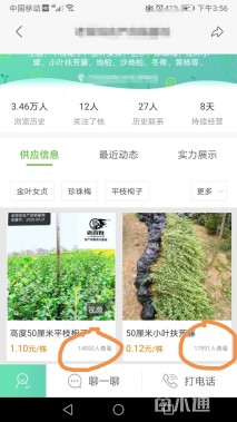 15公分白蜡