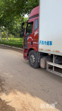 高度14厘米虞美人