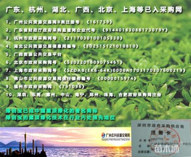 屋顶精品草毯