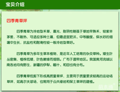 结缕草