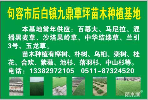 草块状中华结缕草