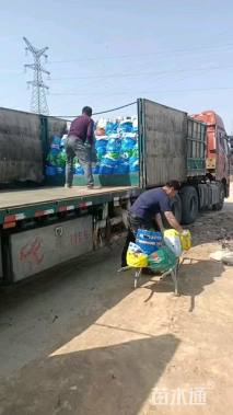 高度100厘米细叶芒