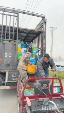 高度30厘米旱金莲