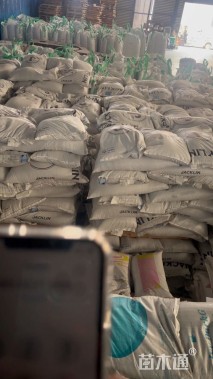 四季青草坪种子