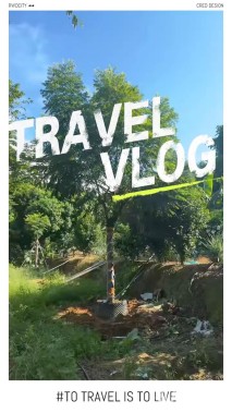 15公分台湾栾树