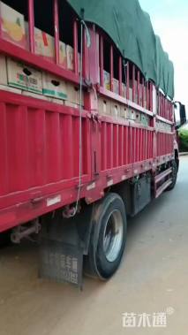 高度20厘米一支笔