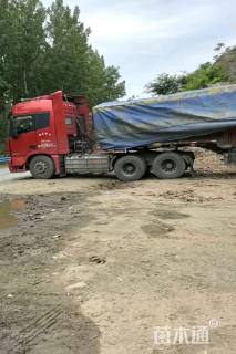 10公分二乔玉兰