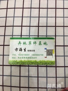 天堂草