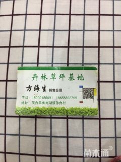 草卷状天堂草