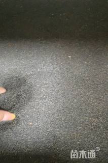 橙色太阳花种子太阳花种子