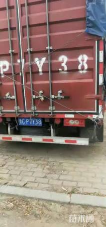 高度25厘米八仙花