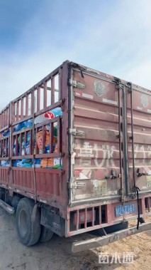 高度40厘米蓝雪花