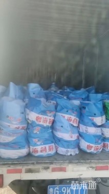 高度30厘米柳叶星河