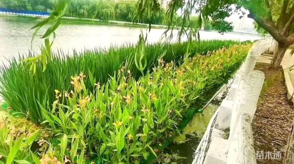 200厘米生态浮岛