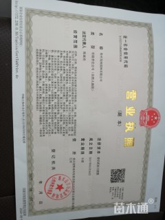 15公分造型杜鹃