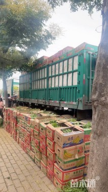 高度17厘米一支笔