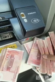 高度20厘米丛生福禄考