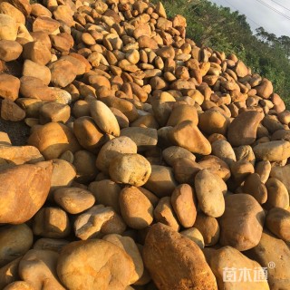 高度1厘米鹅卵石