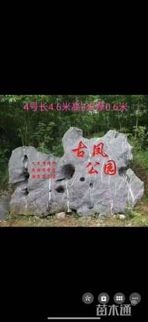 高度1480厘米太湖石