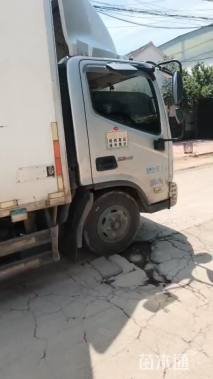 高度20厘米马兰头