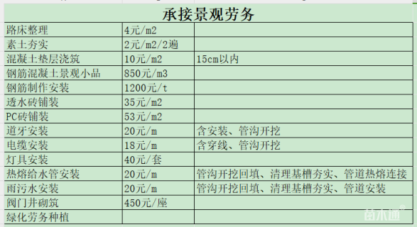 13公分五角枫