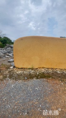 和石园园林景观石