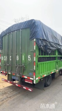 野青茅基地直销 野青茅种植基地