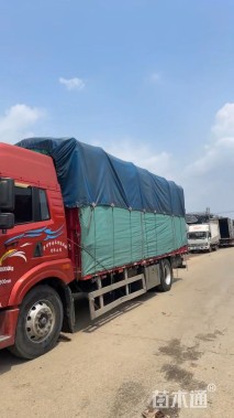 高度30厘米太阳花