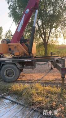 冠幅150厘米红叶石楠球