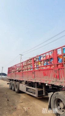 高度40厘米坡地毛冠草