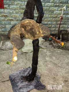 100公分造型金弹子