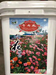 野花组合种子