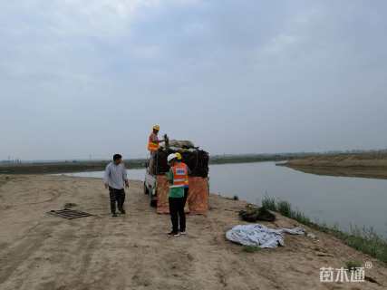 高度20厘米菹草