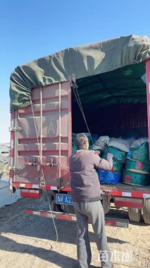 高度30厘米耧斗菜