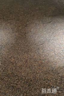 香雪球种子香雪球种子