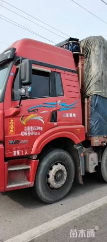 高度15厘米鼠尾草