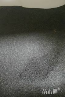 红色太阳花种子太阳花种子