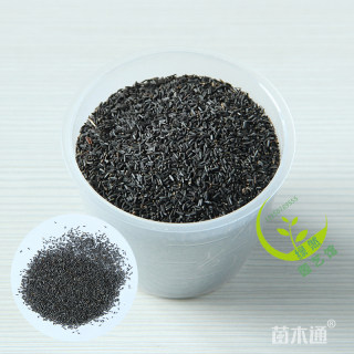 黑心菊种子