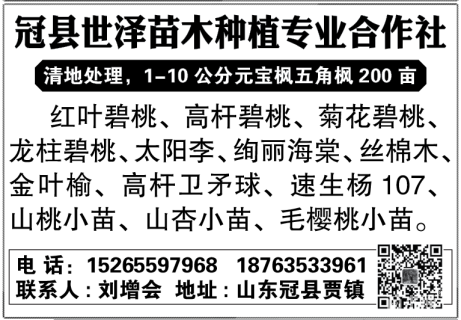 2公分速生杨