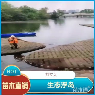 100厘米生态浮岛