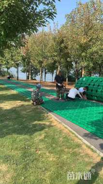 33厘米生态浮岛