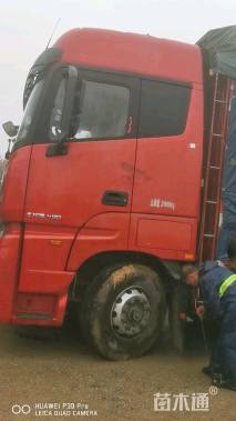 冠幅150厘米红叶石楠球